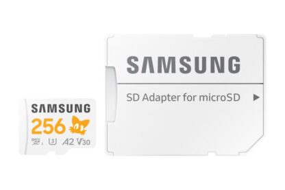 MICROSD PRO PLUS 256GB PRO CL10 W/A SM - Image 7