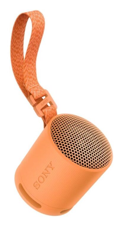 SONY SRS-XB100D portable speaker - Image 6