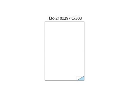 Labels 1 / A4 210x297 100 / box