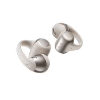 Shokz Open-Ear True Wireless Earbuds GY
