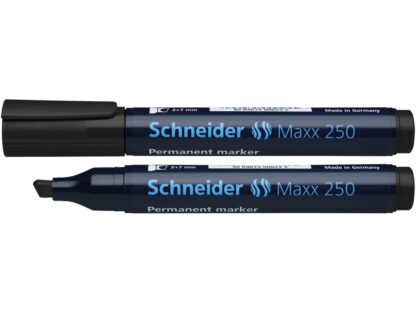 Permanent marker Schneider 250 2-7mm