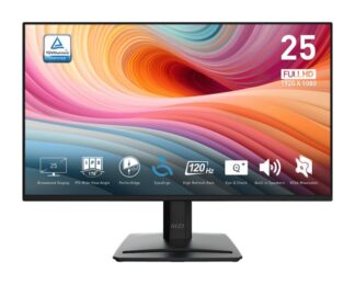 MSI Pro MP252 E2 computer monitor