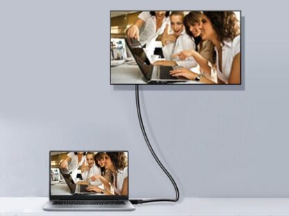 EQUIP DISPLAYPORT CABLE 1.2 119332 - Image 9