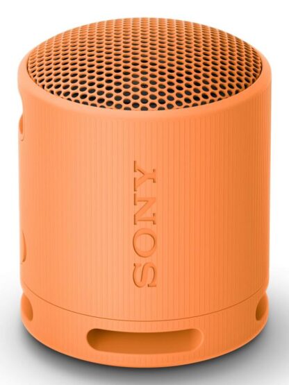 SONY SRS-XB100D portable speaker - Image 5
