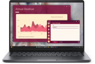 DL PC14250 FHD+ U5-235U 16 1 W11P