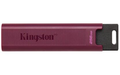 Kingston USB 256GB DATATRAVELER MAX 3.2 - Image 4
