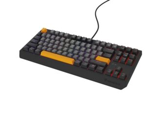 Genesis Thor 230 TKL R gray keyboard