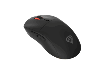GENESIS Zircon XIII mouse