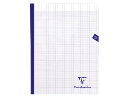 Notebook threadbound , 24x32cm, 96sh. Seyès Colourless, Clairefontaine Mimesys