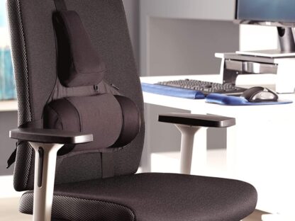 Professional Series Ultimate Back Support - Image 4