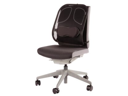 Professional Series Mesh Back Support - Image 2