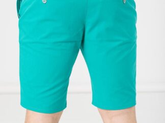 Men's Casual Shorts Green L