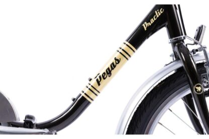 PEGAS PRACTIC RETRO 20'' STEEL 1S BLACK - Image 10
