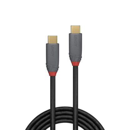 Cable Lindy USB C-USB C Anthra 2m black - Image 2