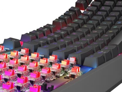 Keyboard WS Genesis Thor 230 TKL R black - Image 15