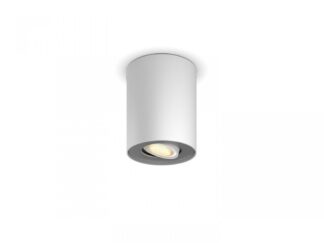 Pillar Hue ext. spot single spot white 1