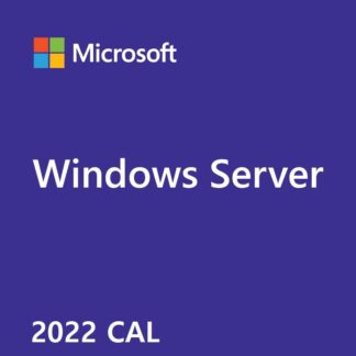 Microsoft Windows 2022 Server License, English, 5 CAL Device