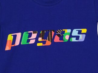 Royal Blue-4 Children's Multicolor Logo T-Shirt