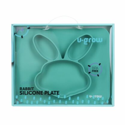 Silicone compartmented plate
