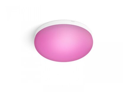 FLOURISH HUE CEILING EU/UK WHITE 32W 24V