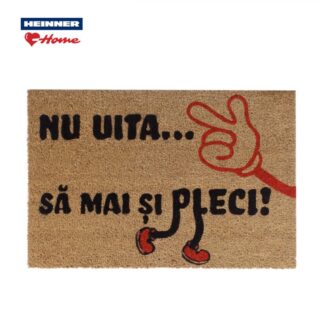 Entrance mat coconut 60X40 CM, FUN, GO