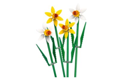 Daffodils 40747 - Image 3