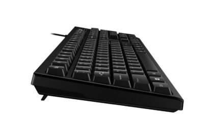 KEYBOARD Genius KB-100 Black USB - Image 4