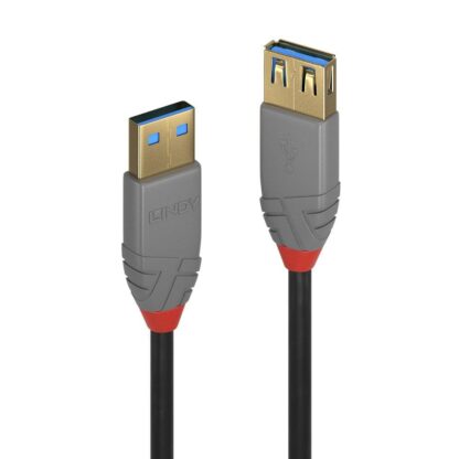 Lindy 1m USB 3.1 Gen1 Extension A / C Cable, Anthra