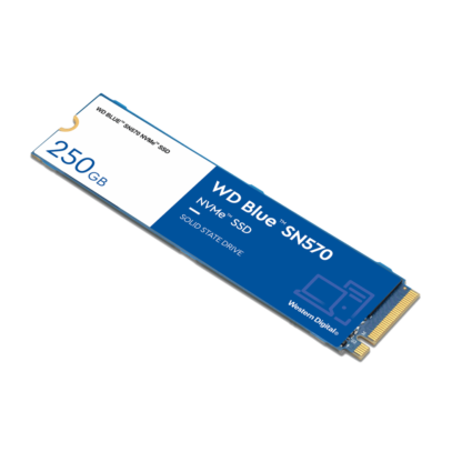 Western Digital SSD 250GB BLUE M.2 2280 WDS250G3B0C