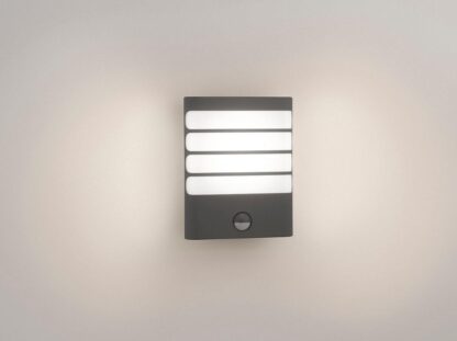 RACCOON WALL LANTERN ANTHRACITE 1X3W SEL