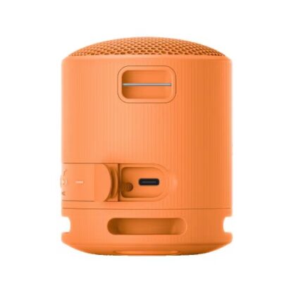 SONY SRS-XB100D portable speaker - Image 3