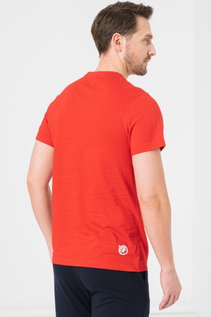 Red-Xxl Men's Sphinx Casual T-Shirt - Image 3