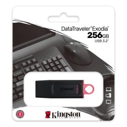 Kingston USB 256GB DATATRAVELER EXODIA 3.2 B/P