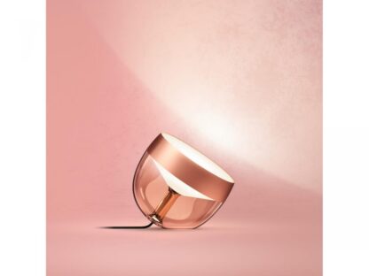 Hue Iris gen4 EU/UK copper - Image 3