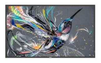 Professional screen Philips Q-Line 65"