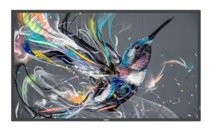 Professional screen Philips Q-Line 65"