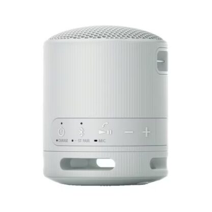 SONY SRS-XB100H portable speaker - Image 2