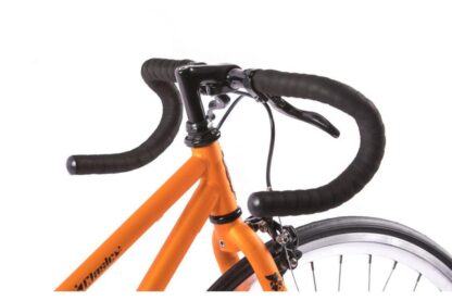 PEGAS CLASSIC 2S DROP LADY 50CM ORANGE - Image 3