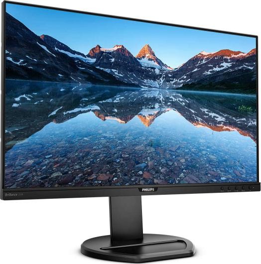 MONITOR 25 "PHILIPS 252B9