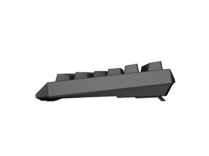 Keyboard WS Genesis Thor 230 TKL R black - Image 6