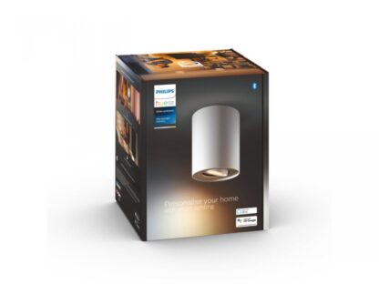 Pillar Hue ext. spot single spot white 1 - Image 2