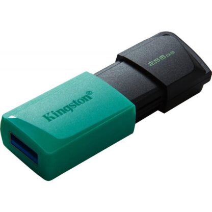 Kingston USB 256GB DATATRAVELER EXODIA M 3.2