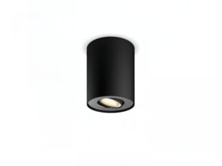 Pillar Hue ext. spot single spot black 1