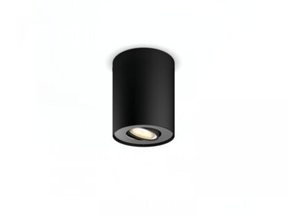Pillar Hue ext. spot single spot black 1