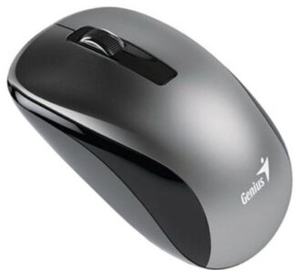 Mouse Genius NX-7010 1200 DPI, gray