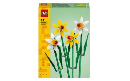 Daffodils 40747 - Image 2