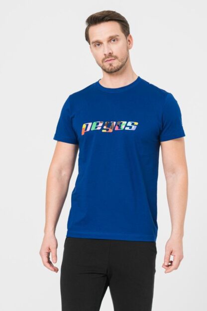 Men's Royal Blue-M Multicolor Logo T-Shirt