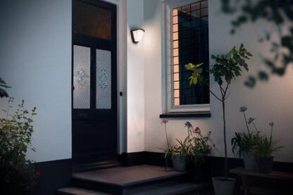 Kiskadee wall lantern anthracite 1x42W - Image 2