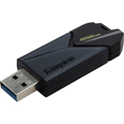 Kingston USB 256GB DT EXODIA ONYX 3.2