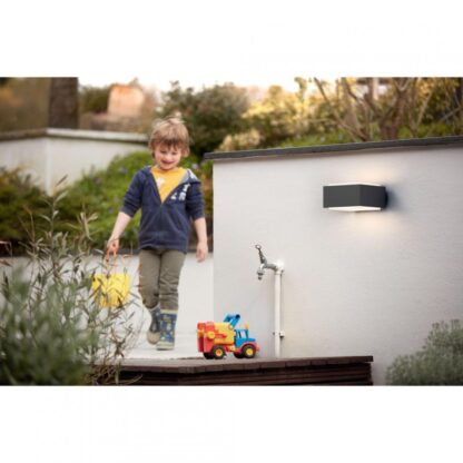 LAMP EXT. PHILIPS MYGARDEN HEDGEHOG - Image 3